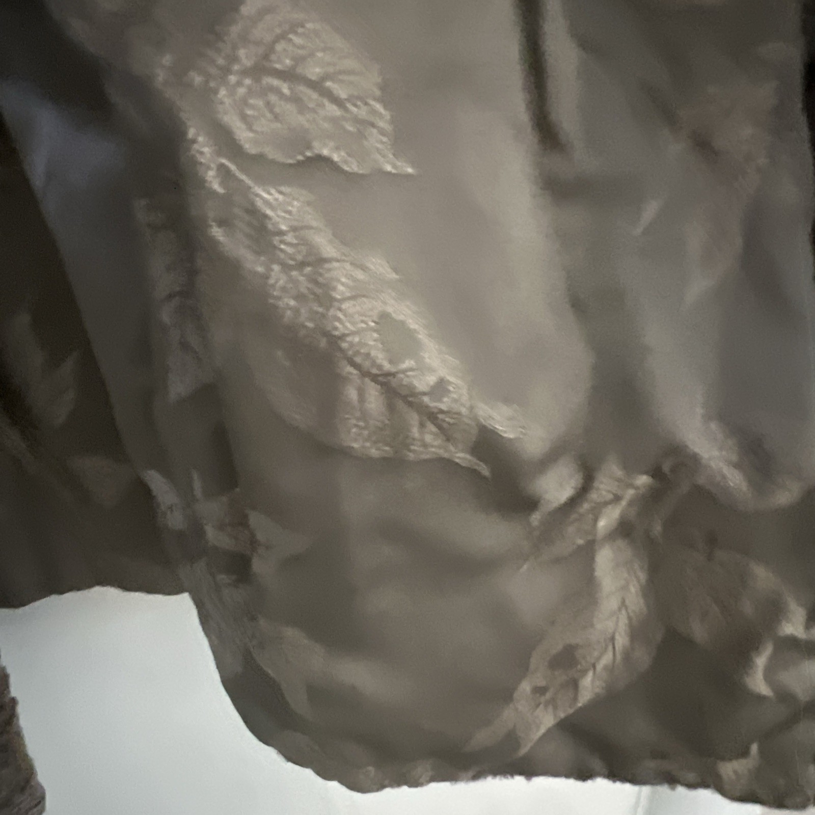 Vintage Gassmans Chicago jacket& Fur Collar