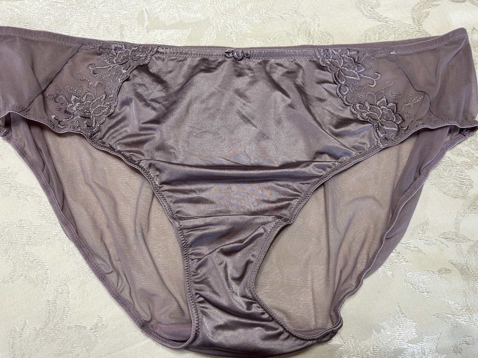 Vtg CACIQUE Second Skin Satin Embroidered Sheer Mesh 18/20 Brief Panties #162