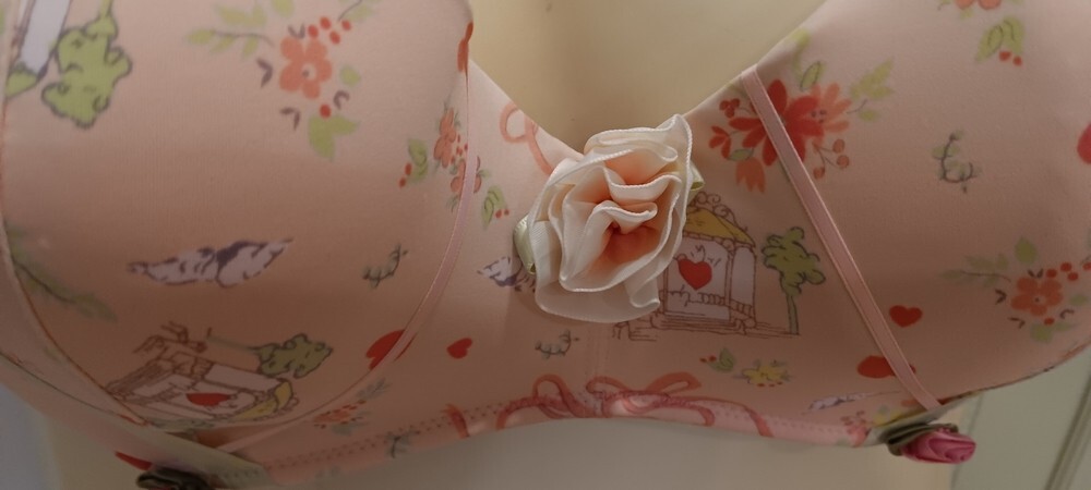 Hillard & Hanson 38D Intimates Coquette Romantic Feminine Rosette Balconette Bra