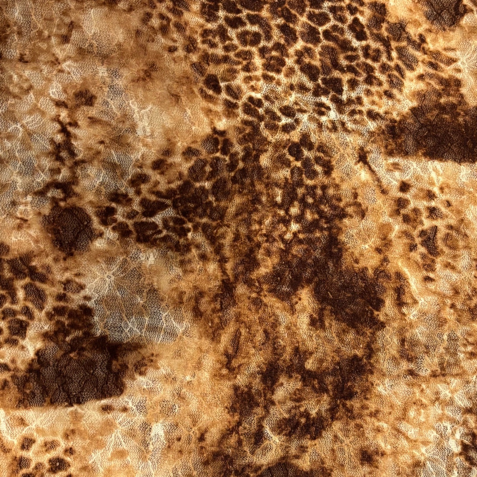 BKE Stunning vintage Y2k long sleeve sheer top with leopard print design