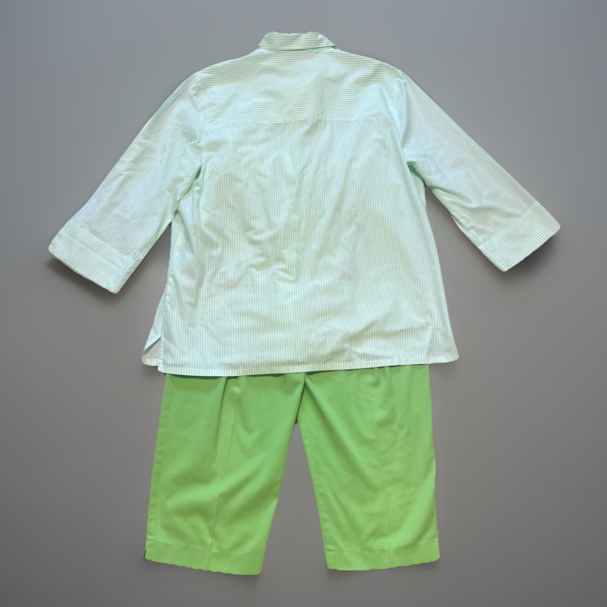 90s Graff 2pc Womens L Embroidered Spring Hummingbird Frog Shirt Capri Pants