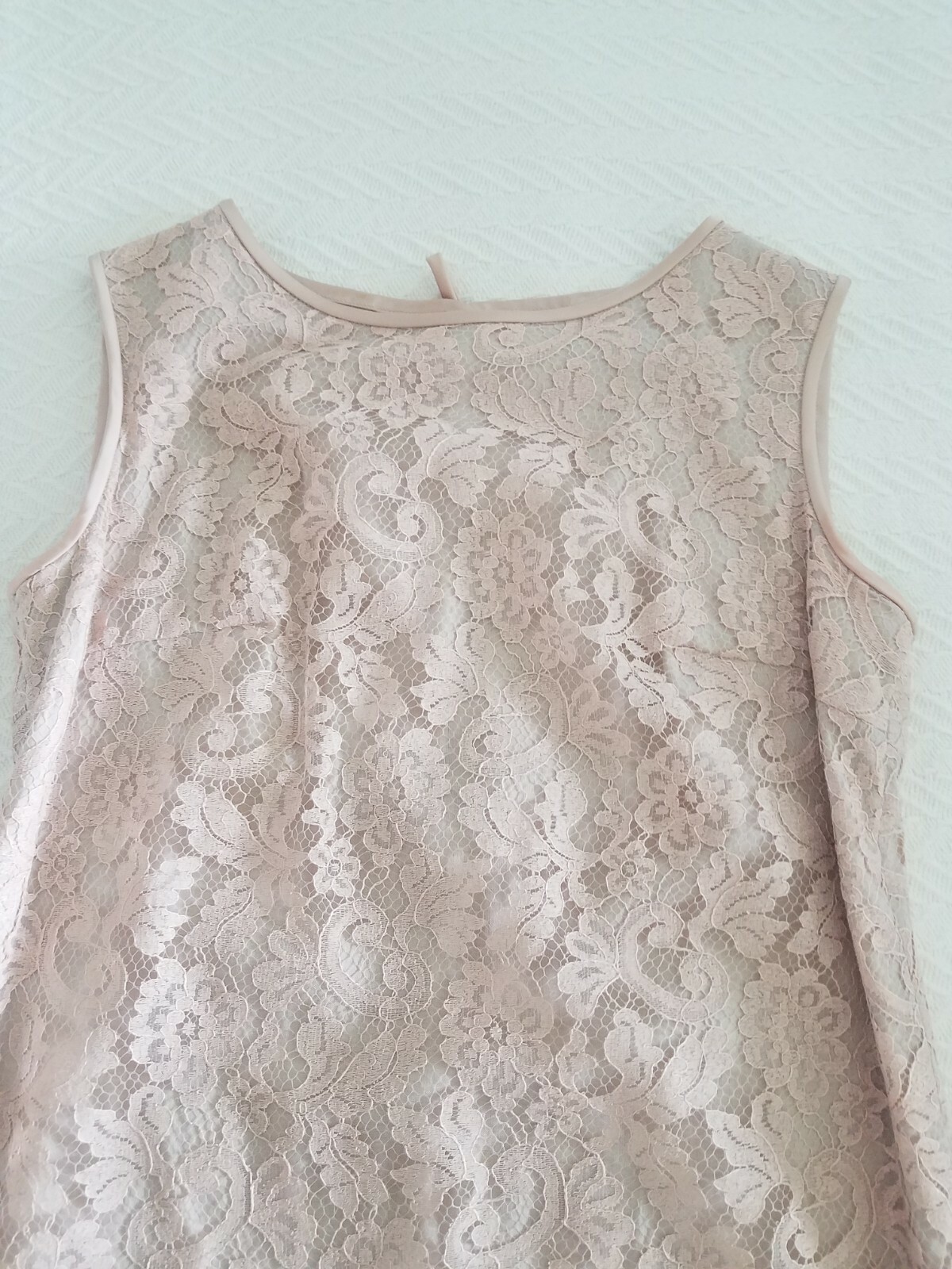 Vintage L&rsquo;Aiglon Size Small Dusty Rose/Pink Lace Dress W Lining