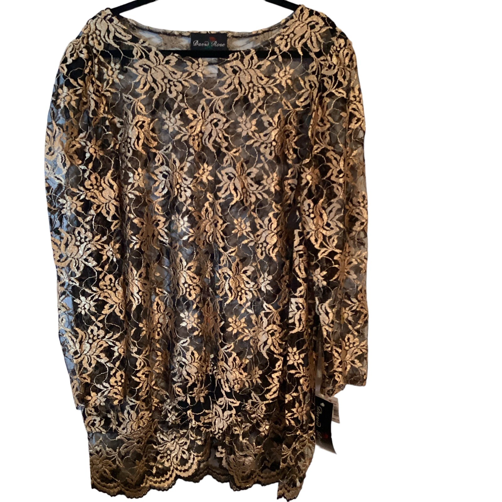 David Rose Size 22W Vintage Sheer Floral Long Sleeve Dress/Tunic NWT