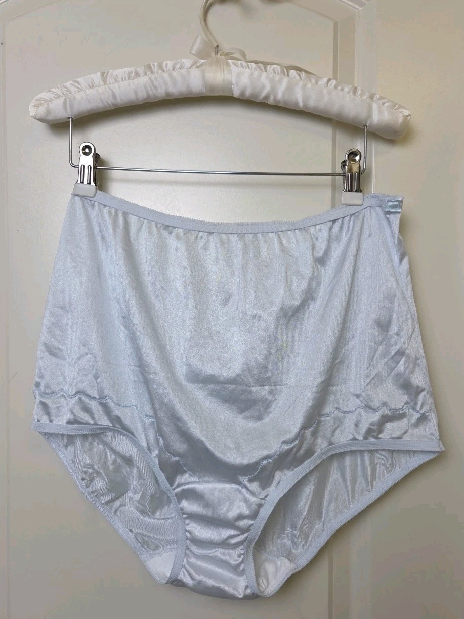 Vtg 1980s Dixie Belle Scallop Trim Full Brief Panty Blue Nylon Pillow Tab 10 L