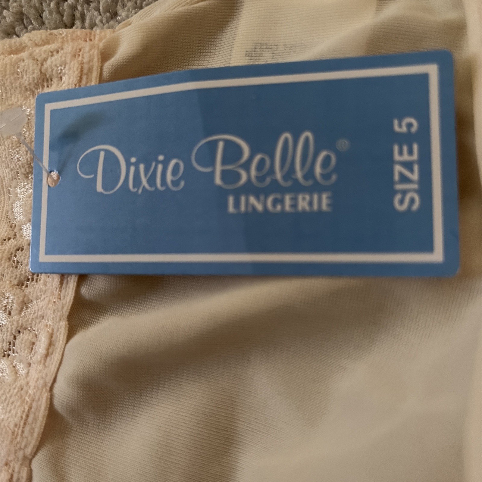 Vintage Size 5 Dixie Belle Nylon Panties With Lace Hip And Legs. NWT Free Ship