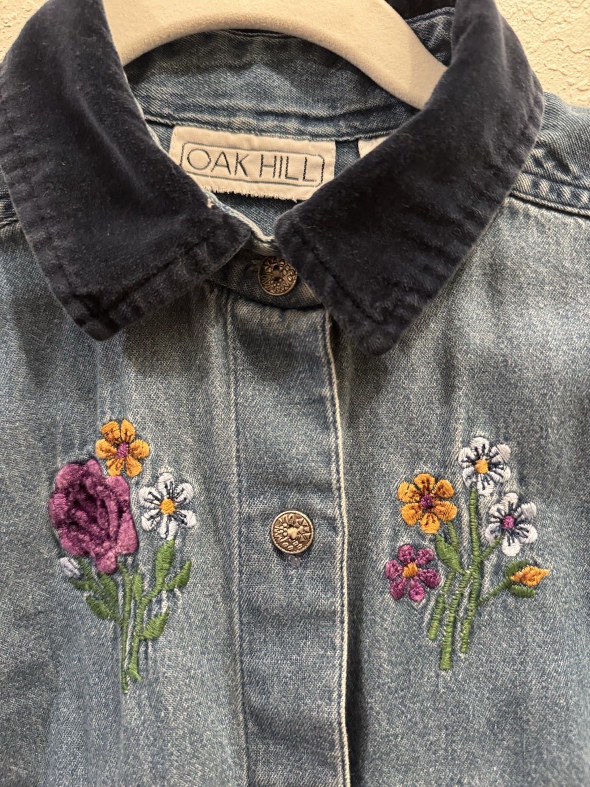 Vintage Oak Hill Denim Button-Down whimsical with Embroidered fairy print – Blue