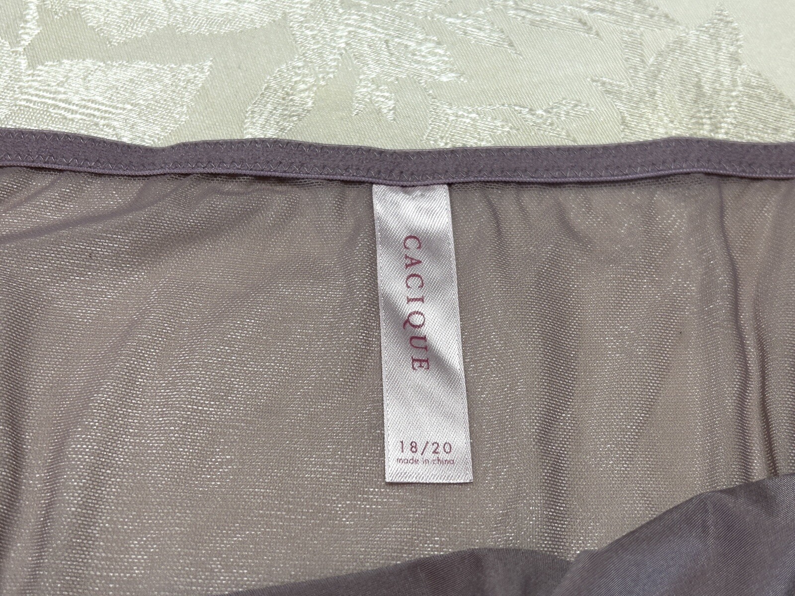 Vtg CACIQUE Second Skin Satin Embroidered Sheer Mesh 18/20 Brief Panties #162