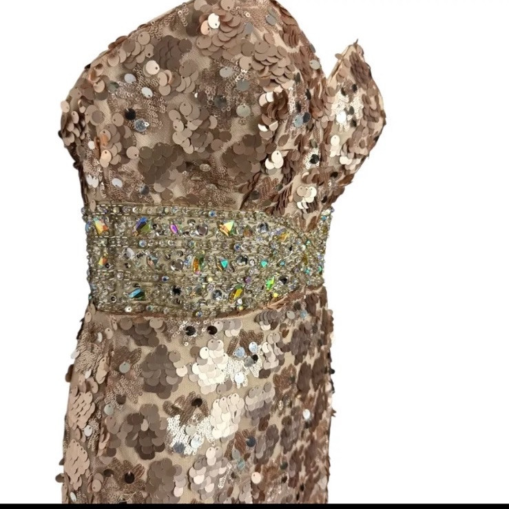 Vtg Night Moves Gold Rose Sequin Aurora Borealis Formal Prom Dress 8 Medium GUC