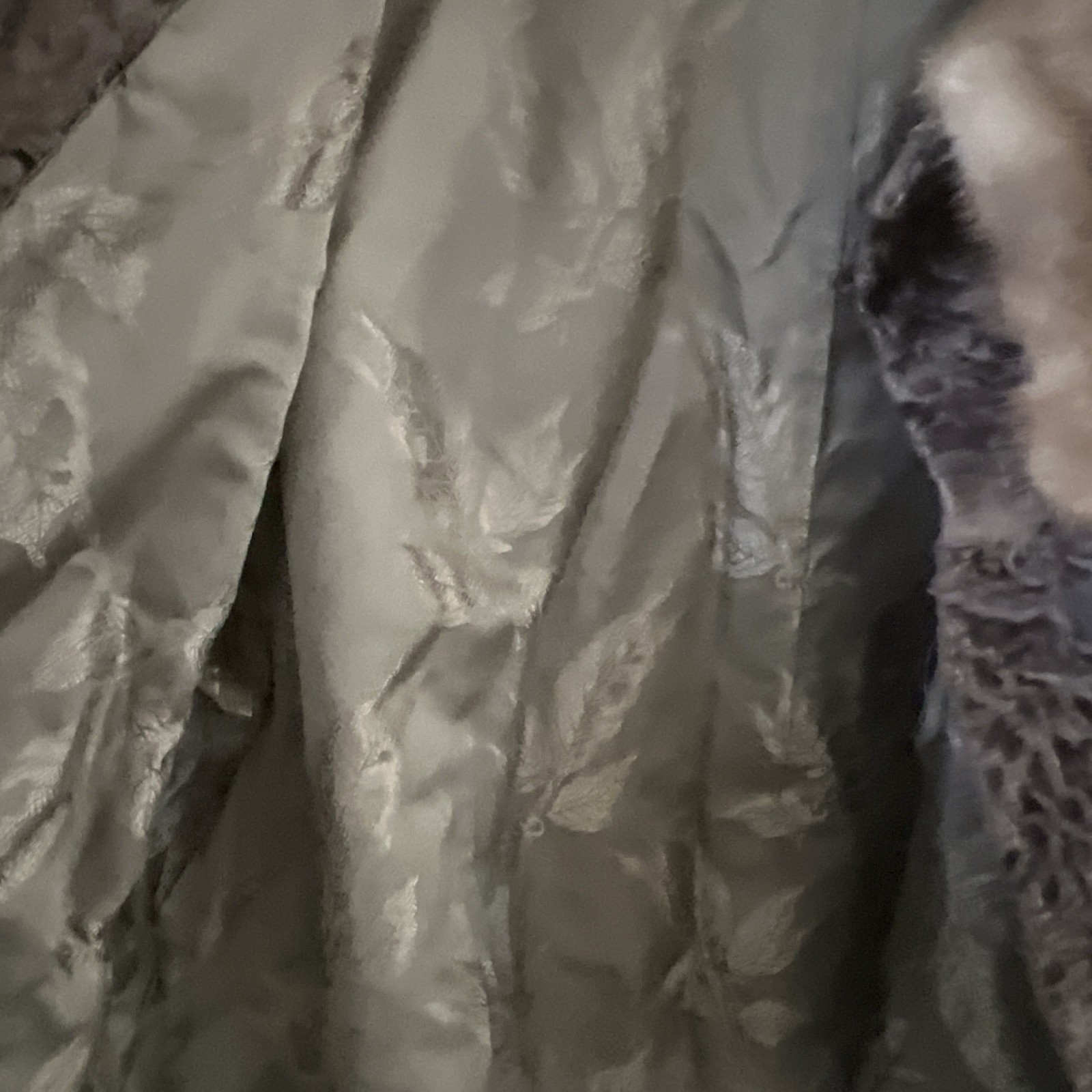 Vintage Gassmans Chicago jacket& Fur Collar