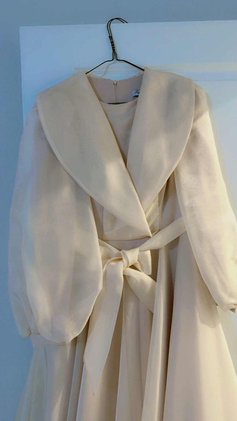 Ivory Ball Gown Formal Dress with Sheer Sleeves and Sash