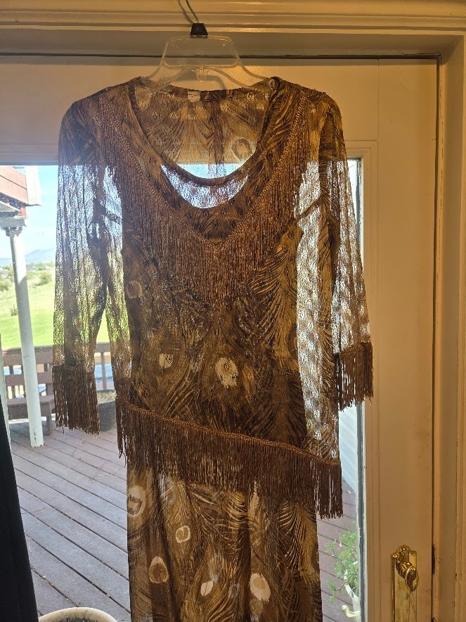 Vtg Tan Peacock Fringe 2 pc Boho Flapper Style Party Dress Size 11/12 Sheer