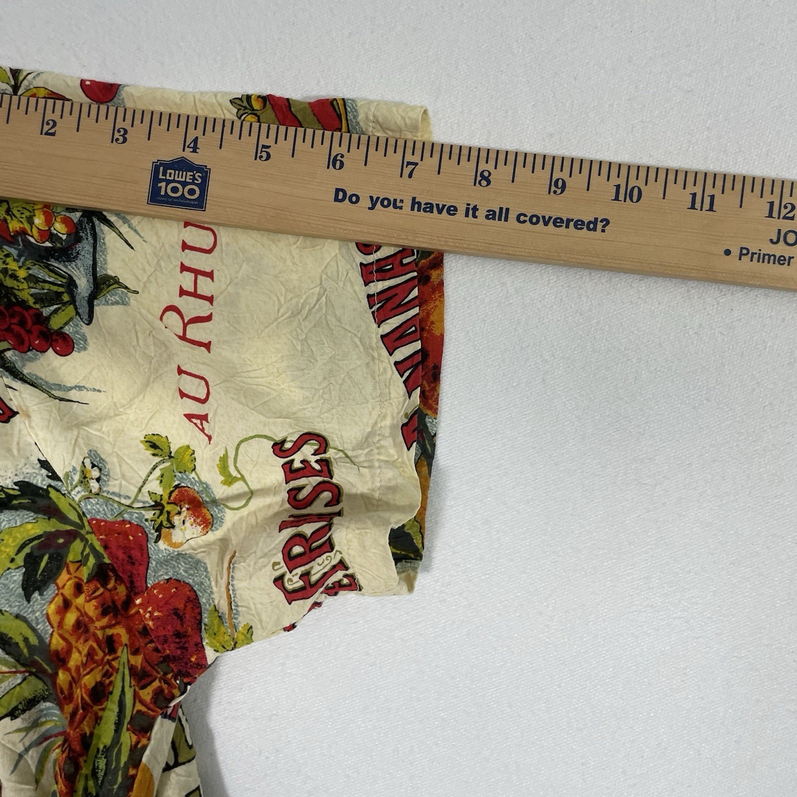 Vtg Jams World Shirt Dress Womens M/L French Fruit-Art Button-Up (REVIEW MEASUR)