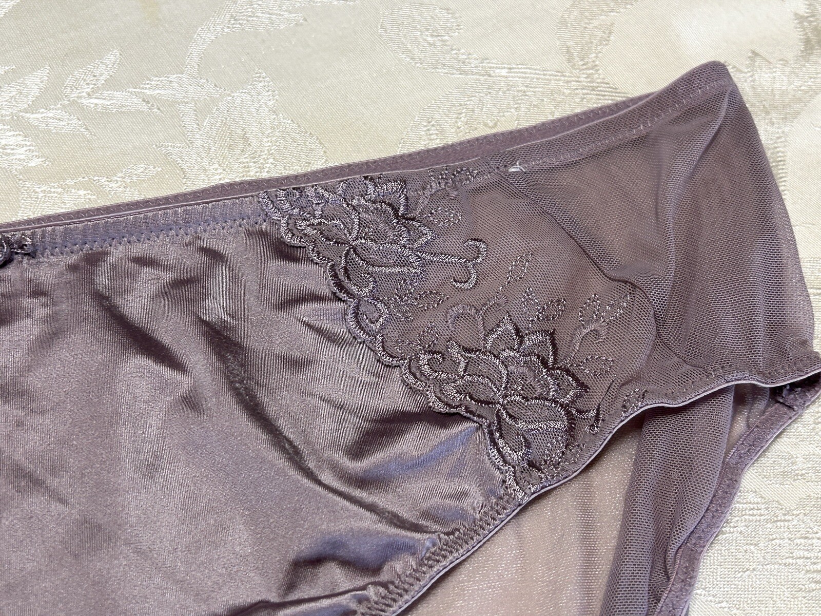 Vtg CACIQUE Second Skin Satin Embroidered Sheer Mesh 18/20 Brief Panties #162
