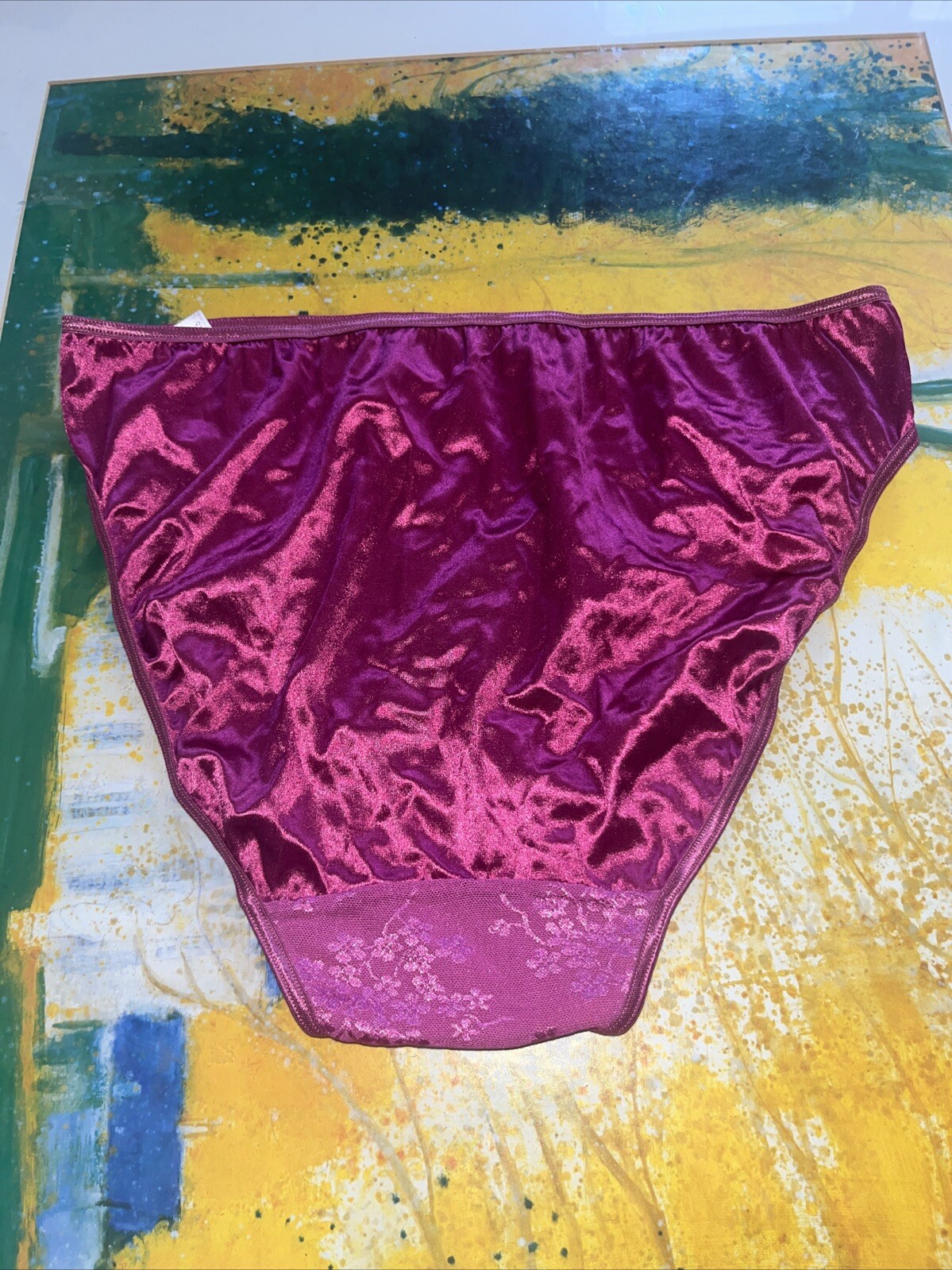 Vintage Lane Bryant Cacique 14/16 Second Skin High Leg Satin Lace Front Panty