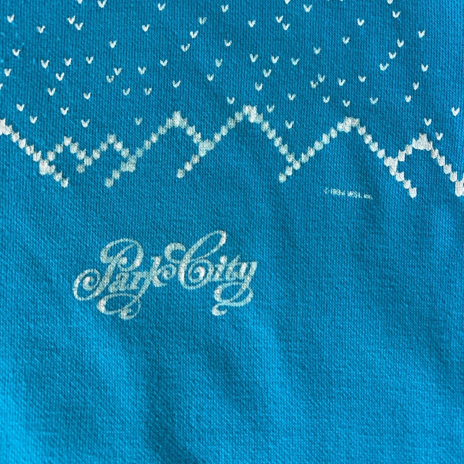 Vintage Park City Utah Teal Graphic Sweatshirt Fleece Lined Crewneck Size Large