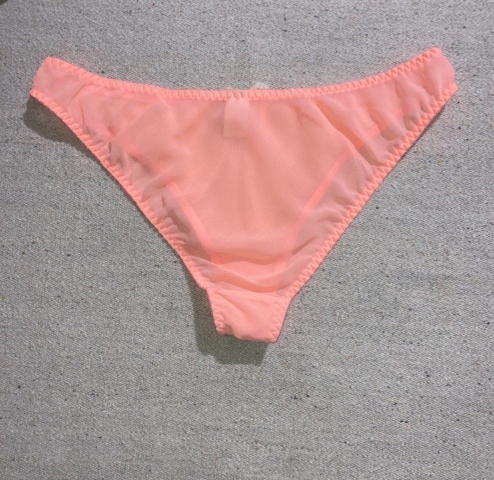 Vintage Chiffon Sheer Peach Bikini High Cut Legs Sissy Lace Bow Panties M L New