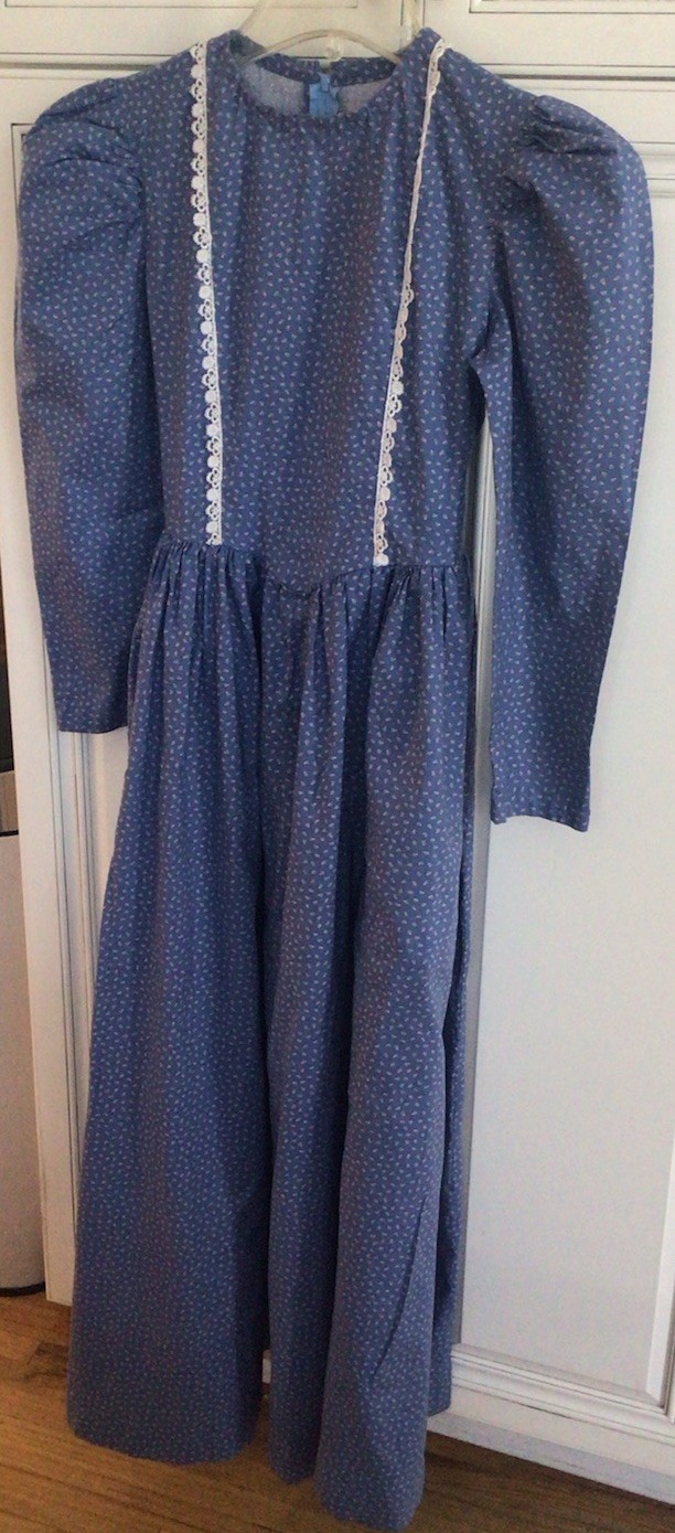 Vintage 70s Cotton Blue Floral Prairie Boho Hippy Cottage Core Maxi Dress