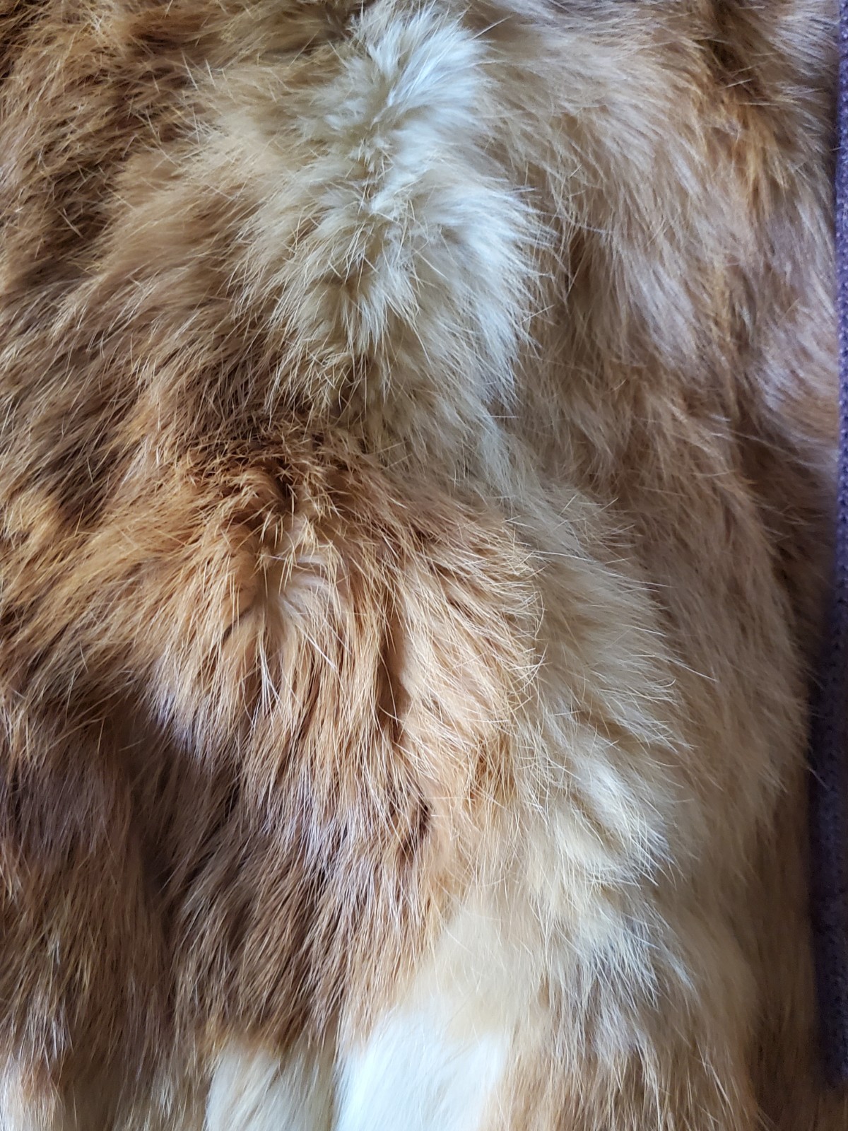 Vintage Red Fox Fur Coat W/ Pockets Zip Up Hooded