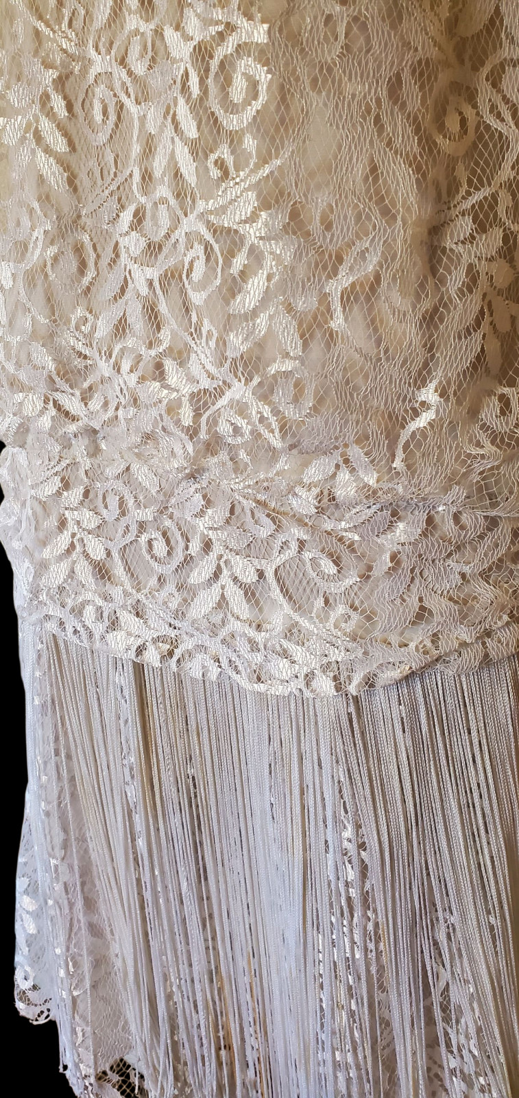 🍸VTG 80s Deco Revival Roaring 20s Flapper Shimmer Lace Fringe Drop Waist Dress