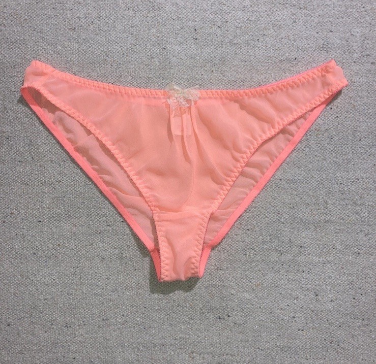 Vintage Chiffon Sheer Peach Bikini High Cut Legs Sissy Lace Bow Panties M L New