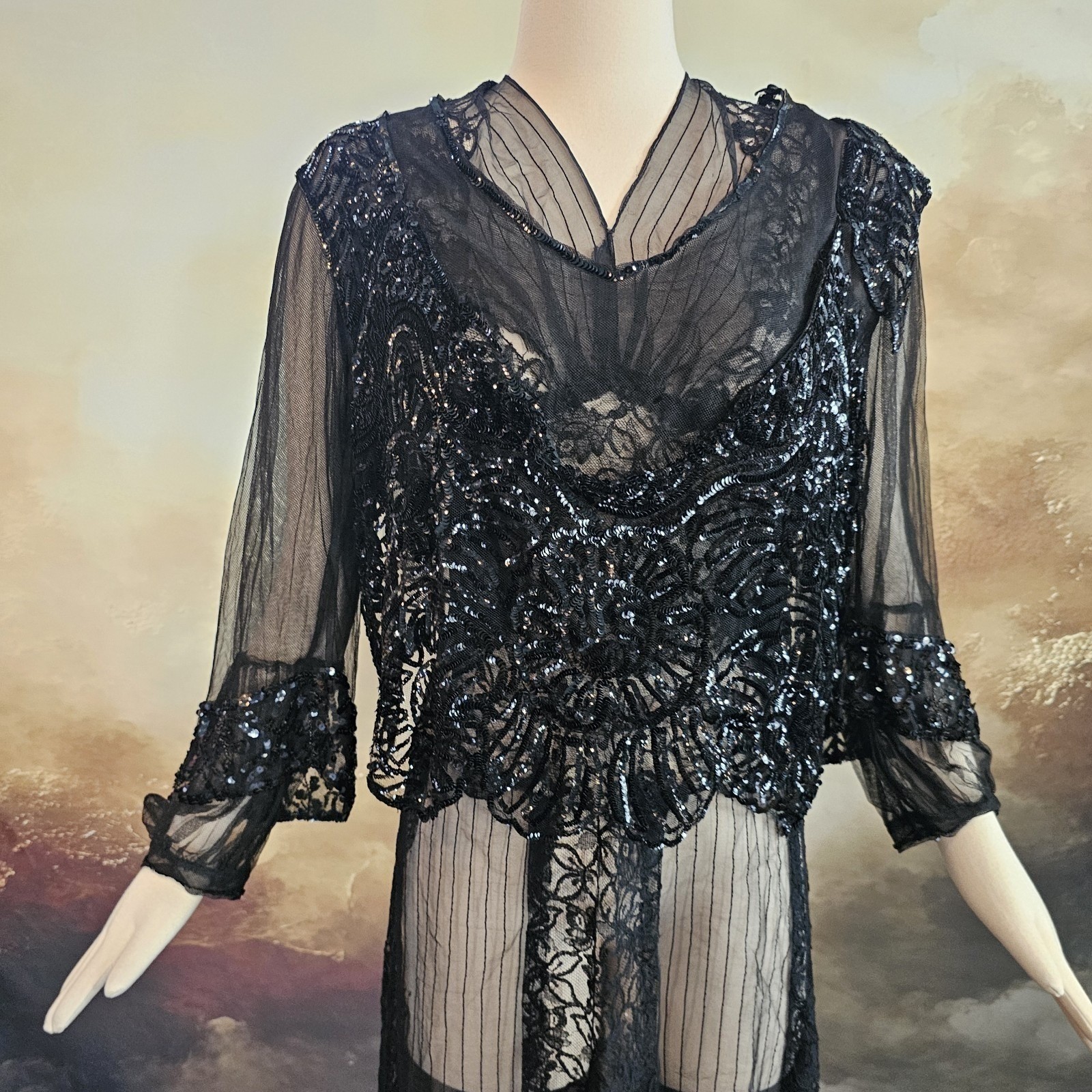 Unbelievable Rare Chiffon Fully Sequined Edwardian 1910s 20s Blouse Top Antique