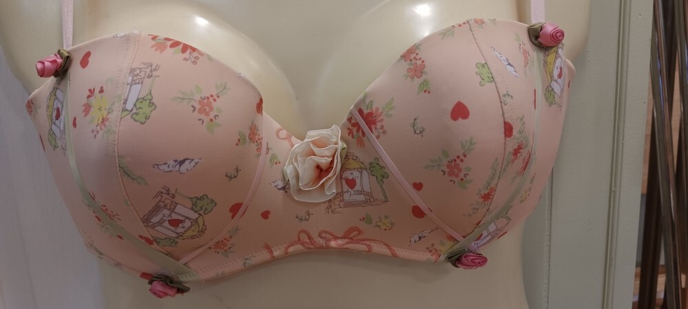 Hillard & Hanson 38D Intimates Coquette Romantic Feminine Rosette Balconette Bra