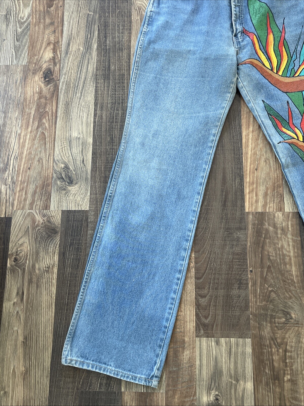 Brittania Jeans Custom Painting Size 13 (W26 L32) Birds of Paradise