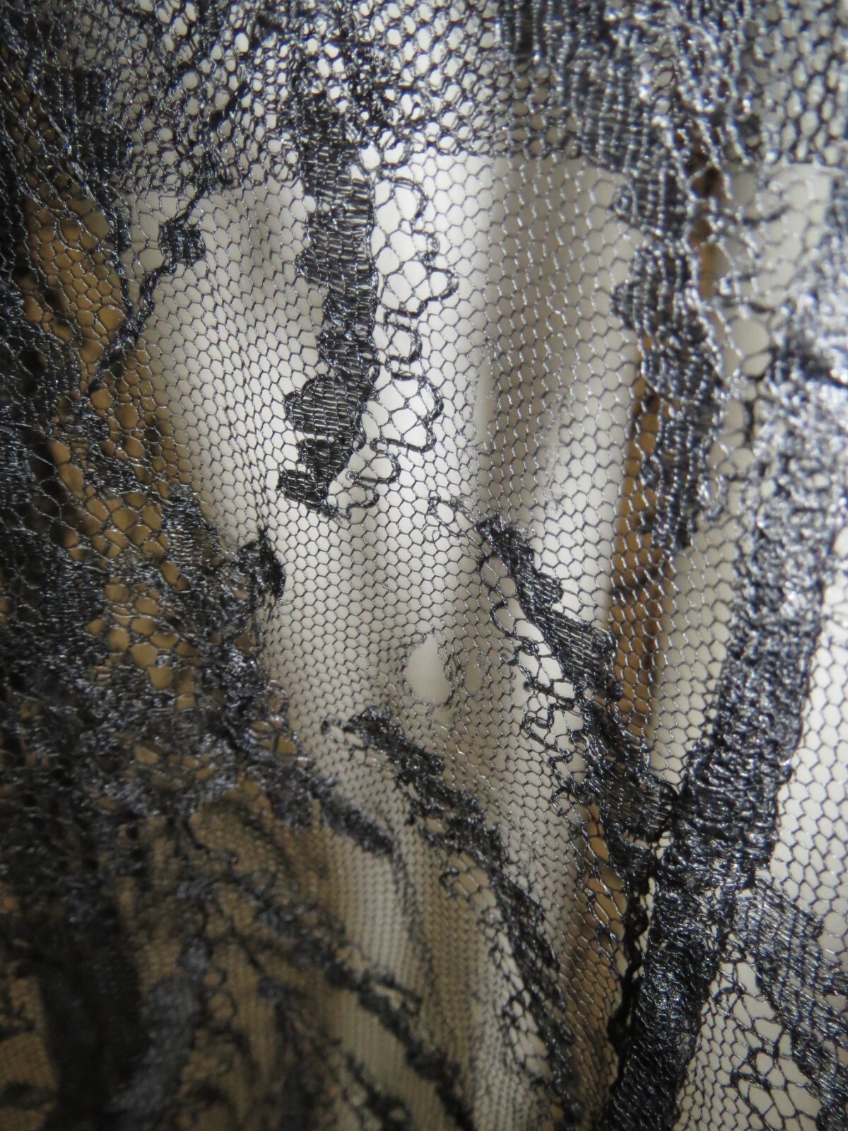 Antique Edwardian Gown + Jacket Chantilly Lace Pleated Back Ex Cond