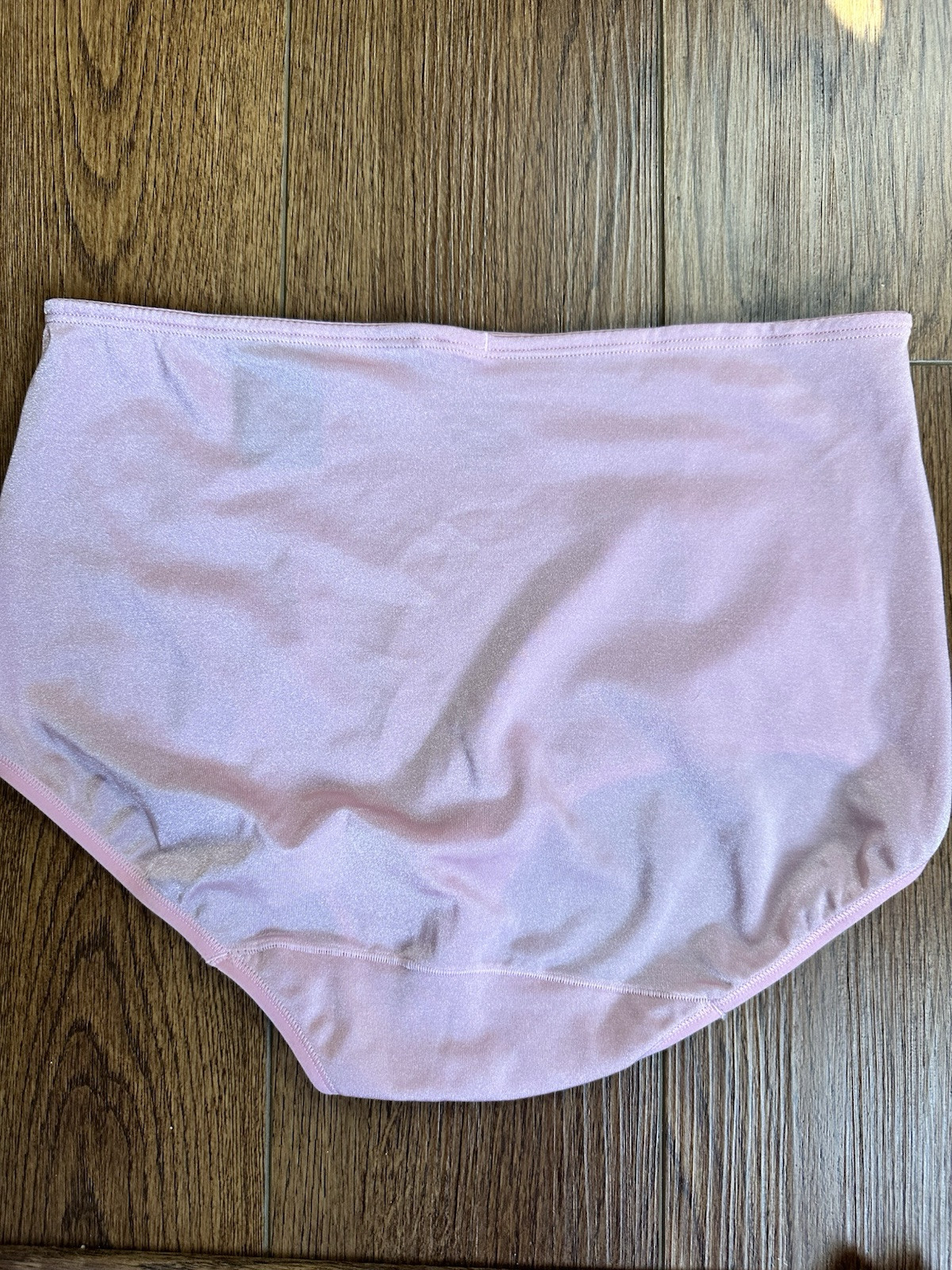 NWT VINTAGE! Vanity Fair Body Caress Sheen 13127 Brief Panties Gorgeous!!!