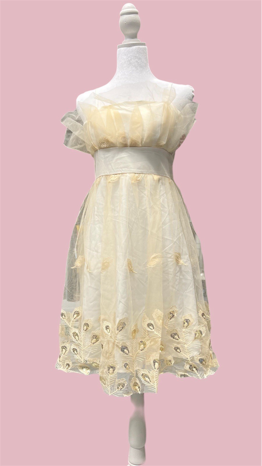 Ivory Sheer Embroidered Tea Dress Vintage Overlay Off-Shoulder Women&rsquo;s