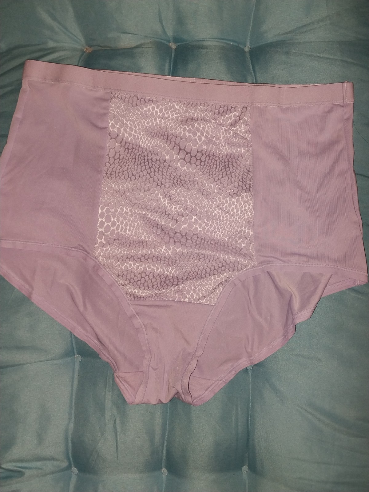 VTG SILKY FAIRY PURPLE NYLON PANTIES GIRDLE SHINY PANEL SEMI SHEER NOS L