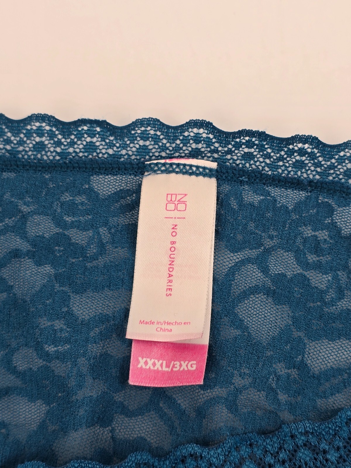 No Boundaries Sheer Stretch Lace Hipster Panties Blue Plus 10 3X XXXL