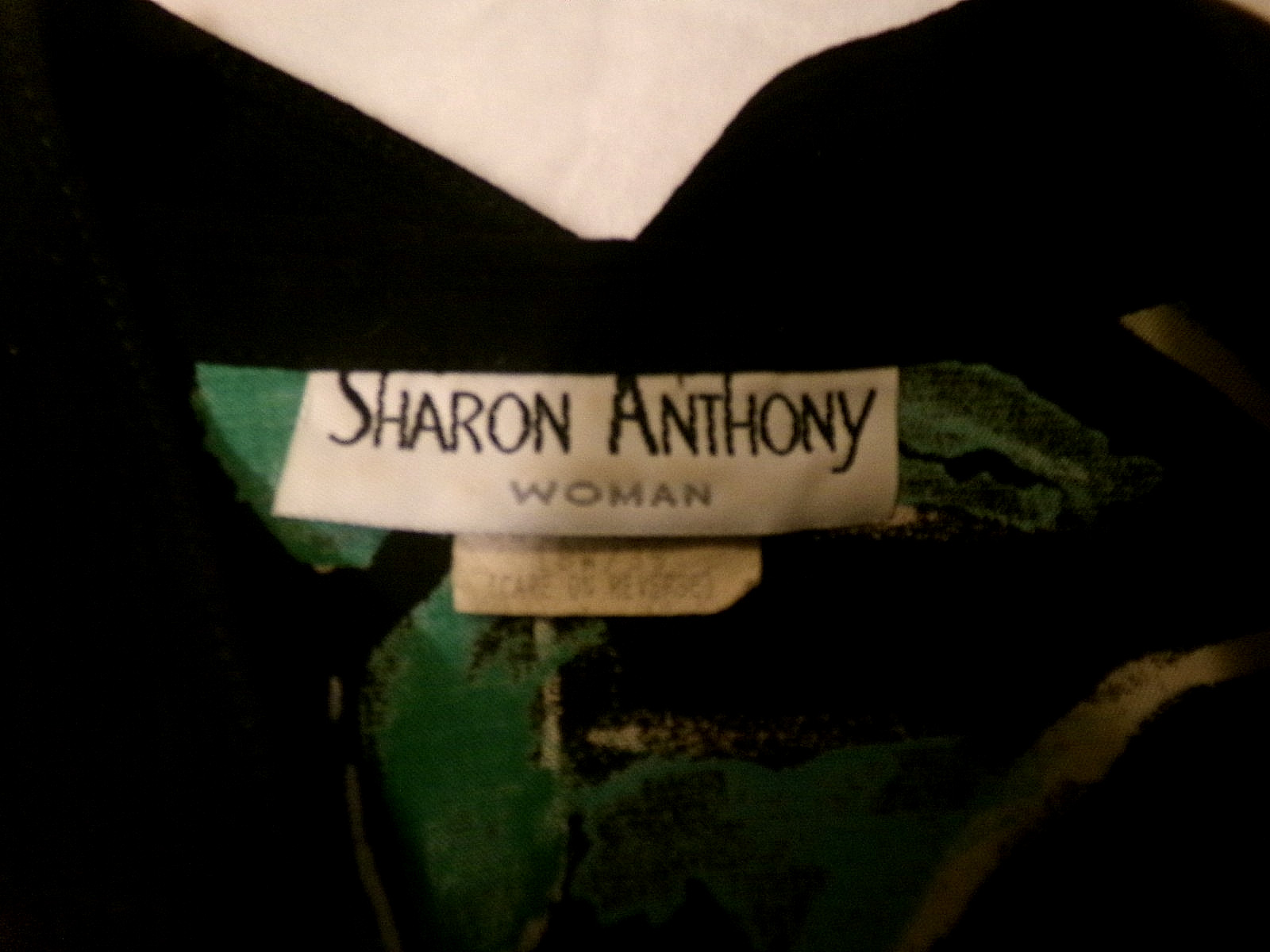 VINTAGE SHARON ANTHONY WOMAN RAYON DRESS/ORIENTAL – See Description for Size