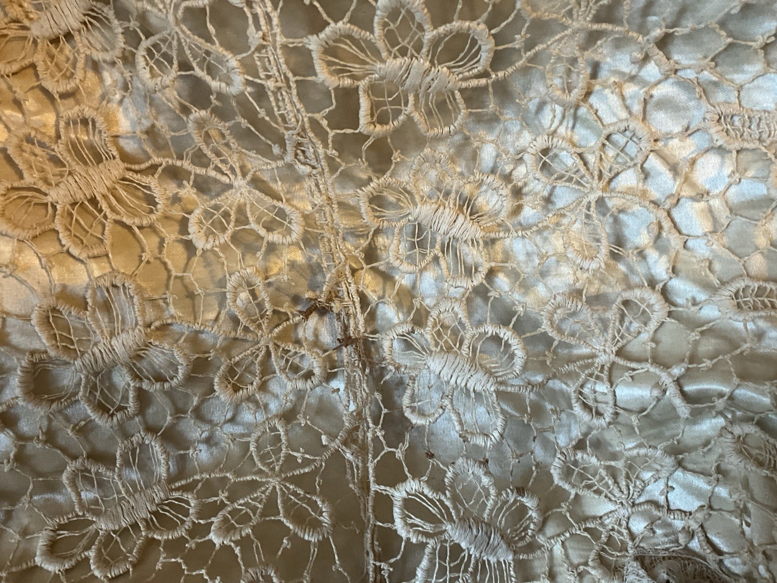 RARE 1920s MOST ORNATE LADIES GARDEN OPERA EDWARDIAN LACE SILK COAT AMAZING