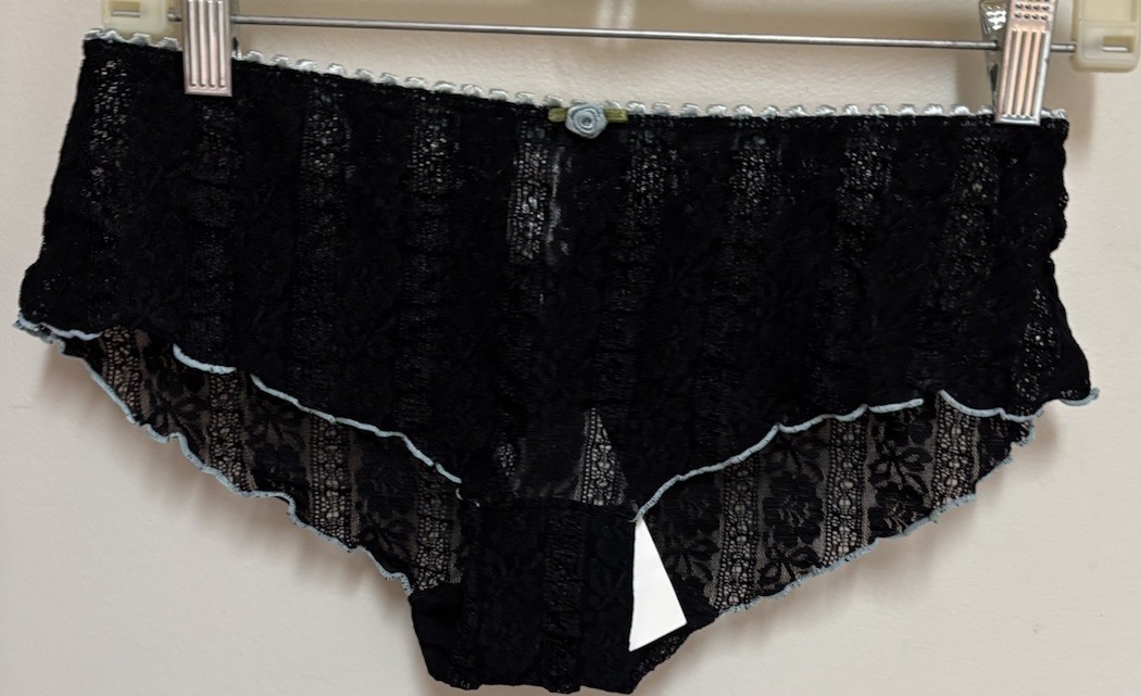 Vintage Fashion Bug Mesh Lace Hipster Panties Black Sissy Sheer Size 6