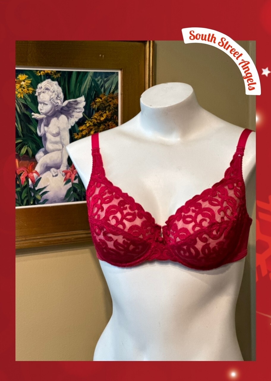 VINTAGE WACOAL 85199 ~ RED ARABESQUE SEMI SHEER FULL FIGURE UNDERWIRE BRA 34C