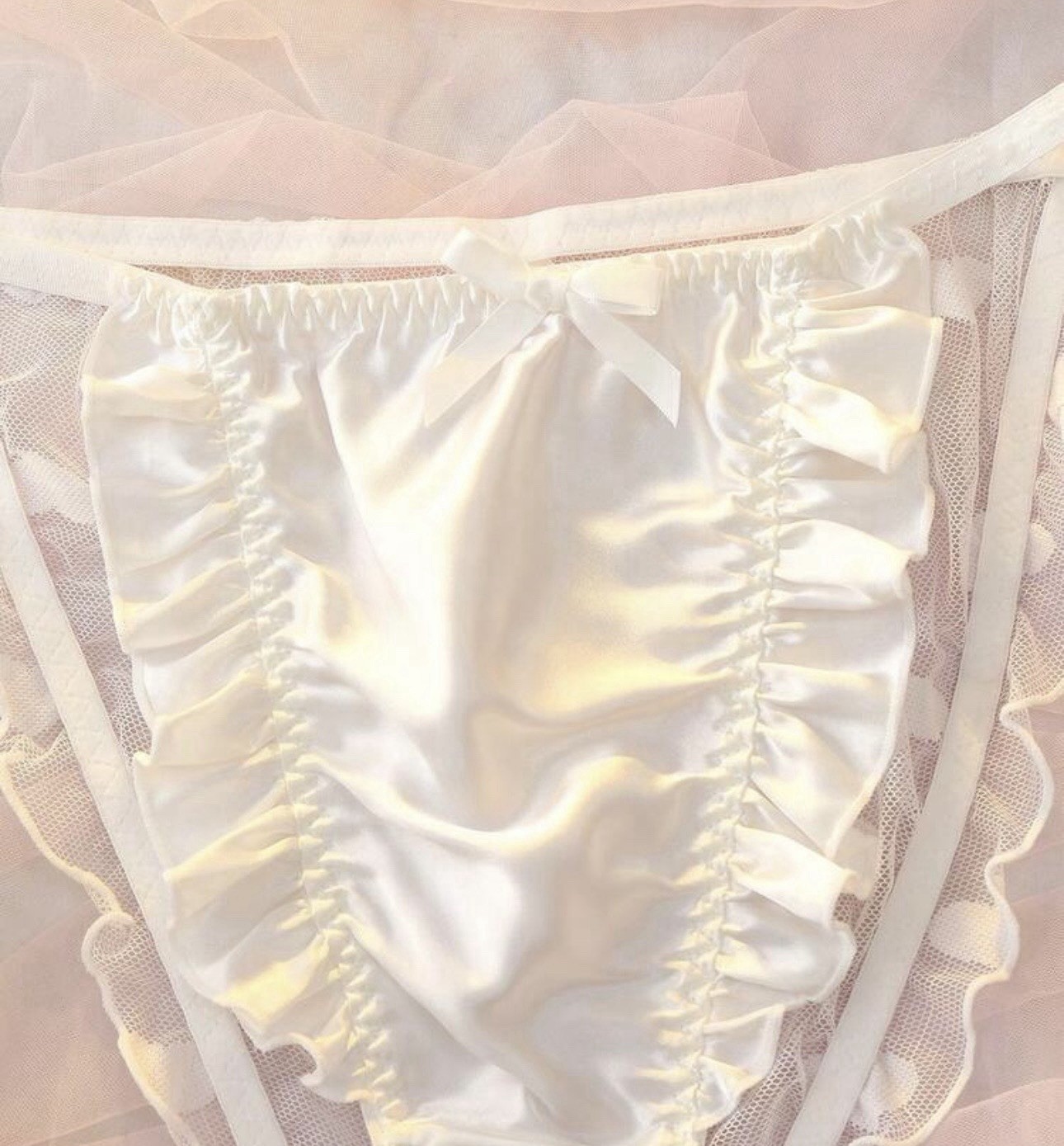 VTG 90’s Style Satin Bridal String Bikini Lolita Chiffon Panties PLUS 4XL NEW