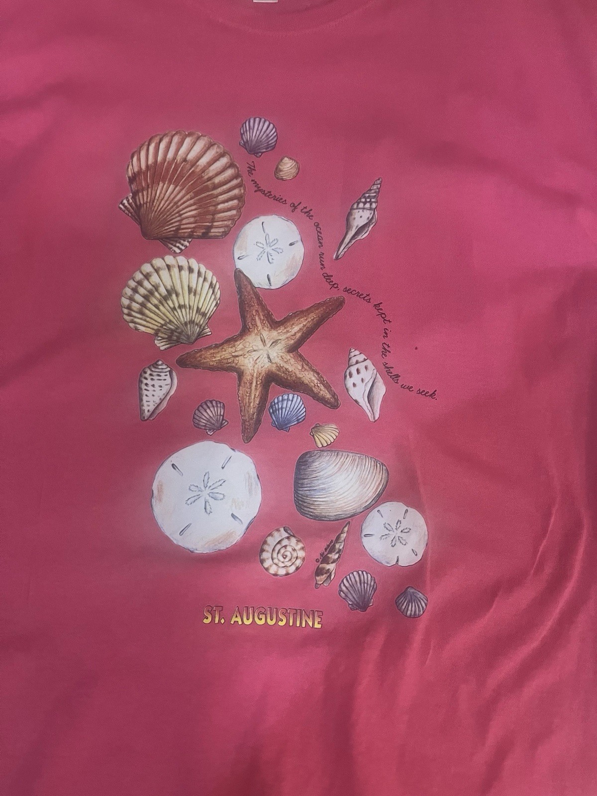 Vtg. St. Augustine Seashell Pink T Shirt -Anvil XL – Split In Tag