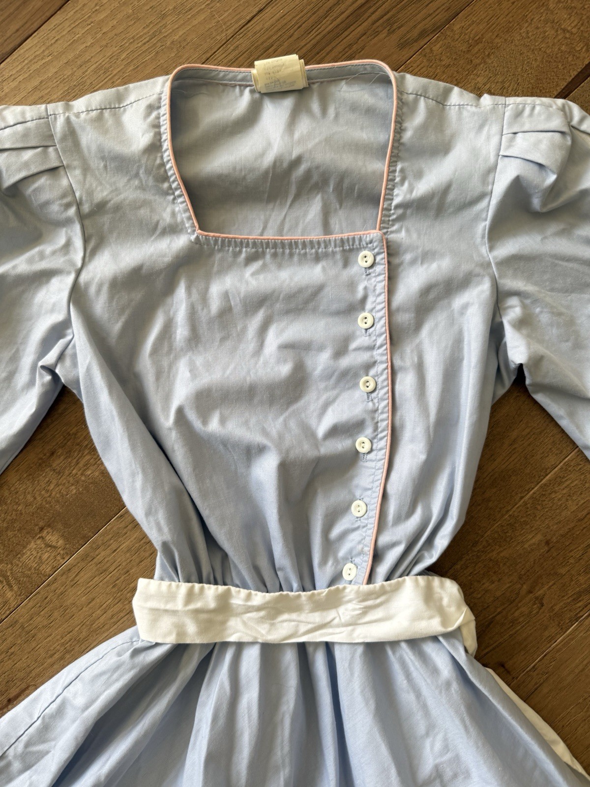 Vintage Cottagecore Dress Trad Wife Swing Dress Powder Blue Pink Trim 1950s