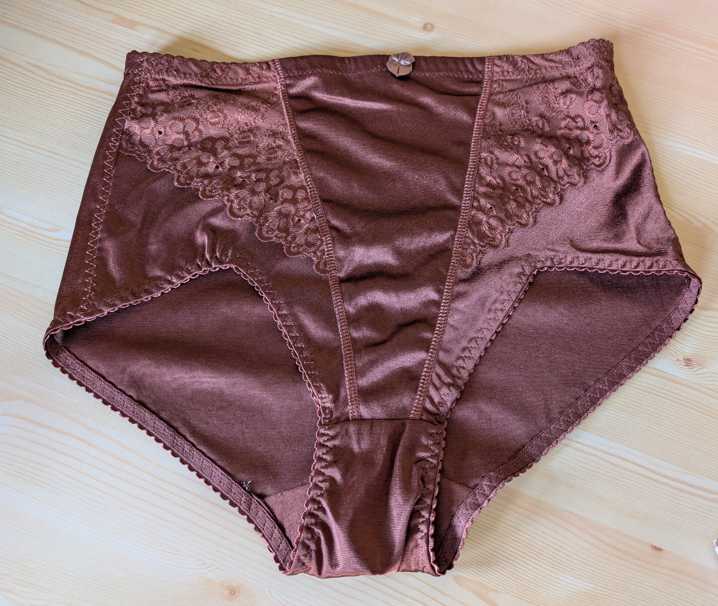 New Jolie Intimates Shiny Bronze Control Panties 8 XL 28&Prime; Waist 30&Prime; Hip Slimming
