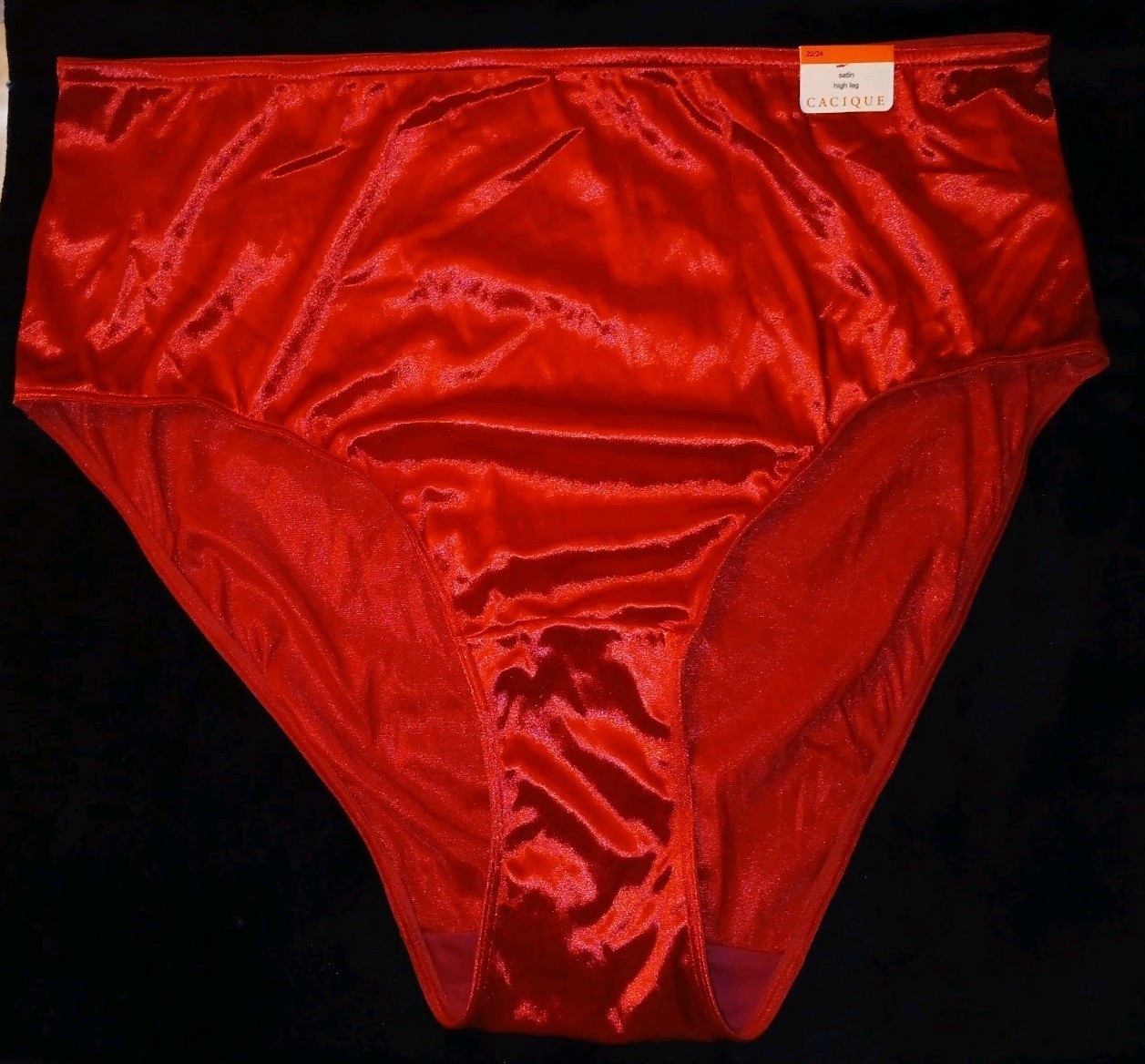 Vintage Layne Bryant Cacique Ruby Red Liquid Satin Hi-Cut Panties NWT 22/24 Plus