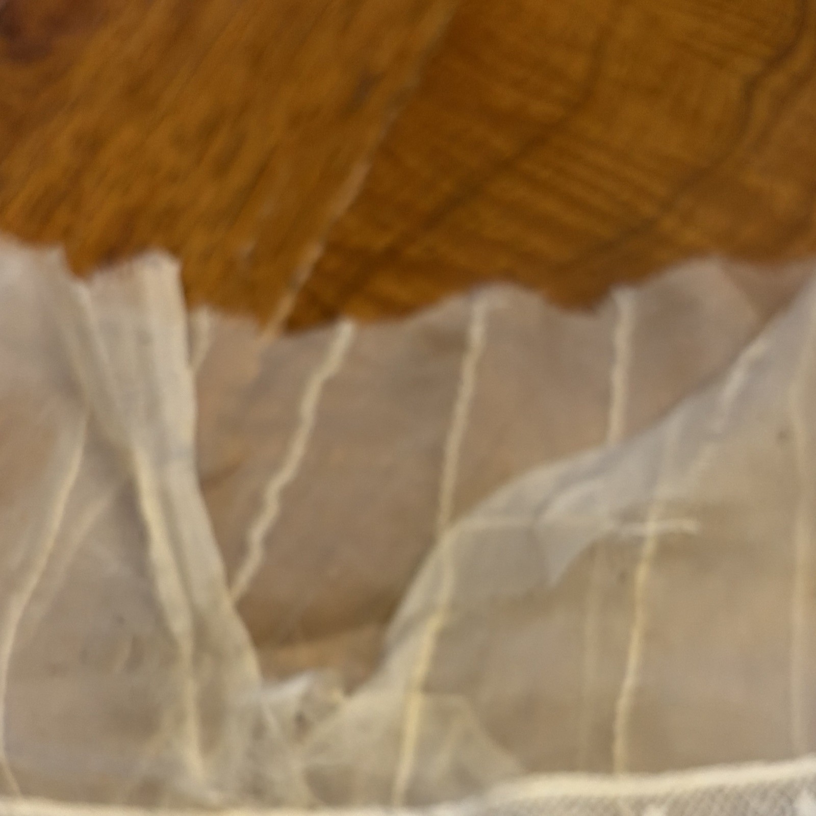 Vintage Silk Sheer Lace Petticoat Slip Skirt Layered Lace Trim Ivory/Material