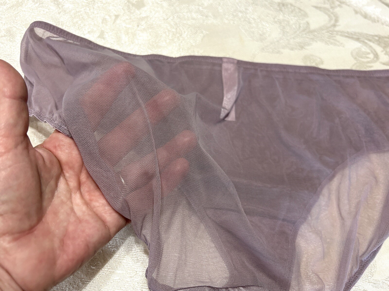Vtg CACIQUE Second Skin Satin Embroidered Sheer Mesh 18/20 Brief Panties #162
