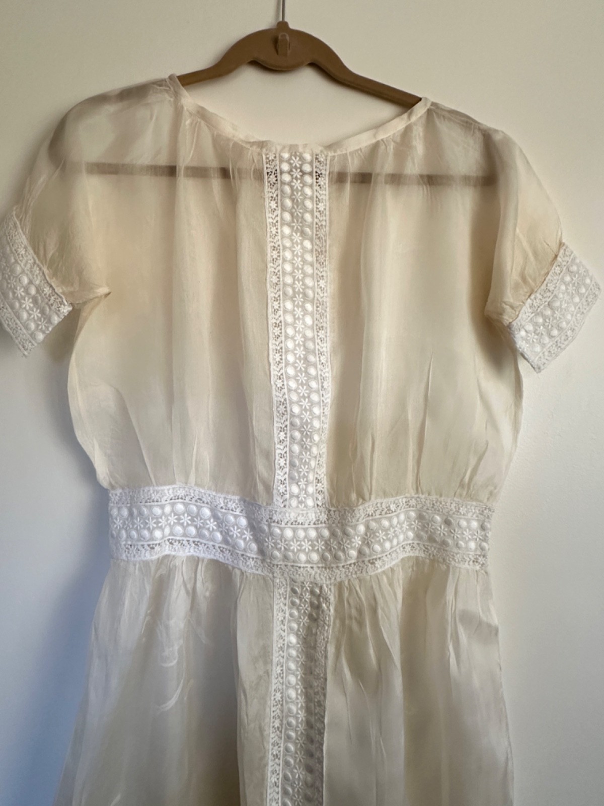 Edwardian Tea Dress Antique Silk Organza with Lace Rare Vintage