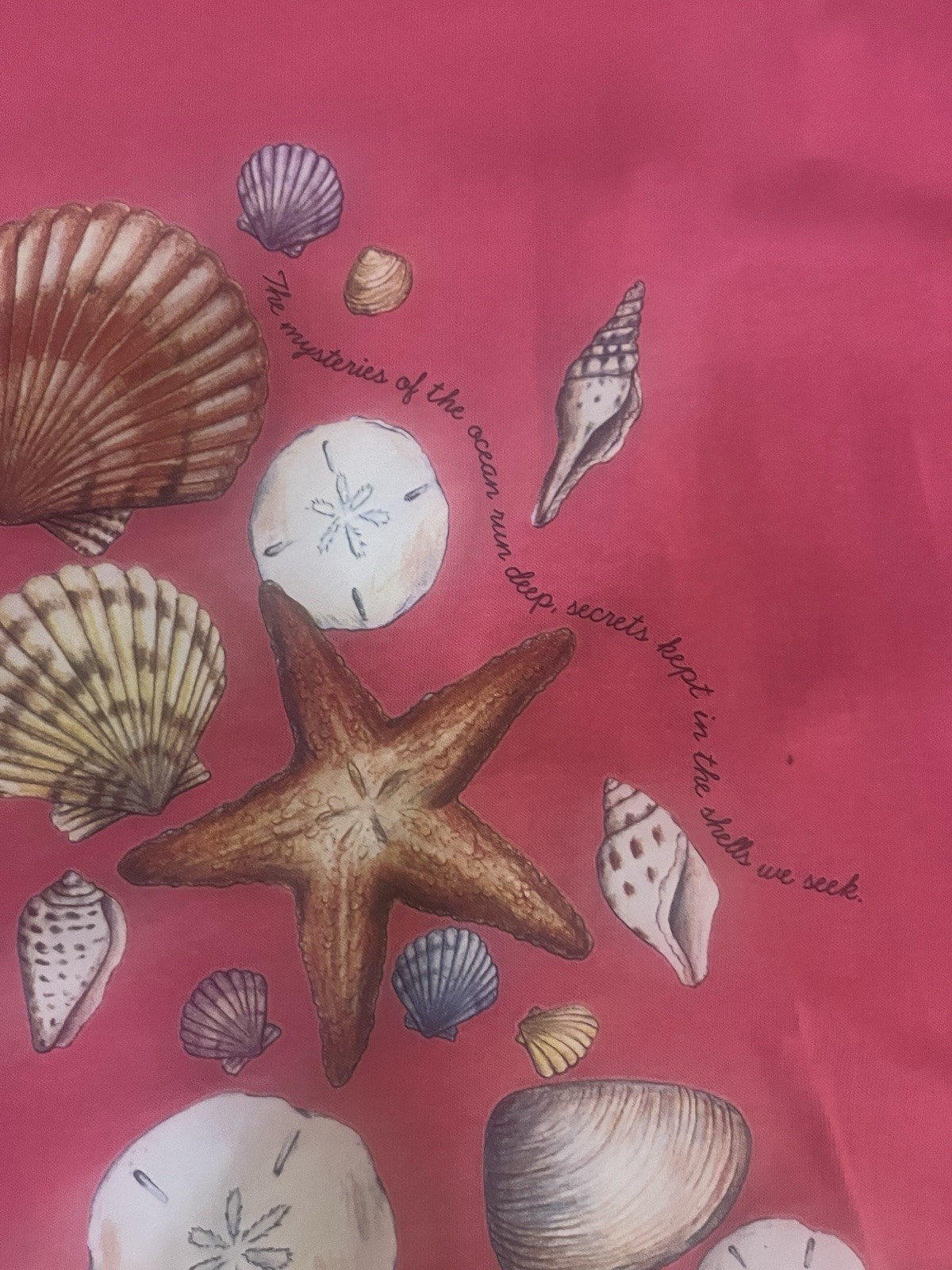 Vtg. St. Augustine Seashell Pink T Shirt -Anvil XL – Split In Tag