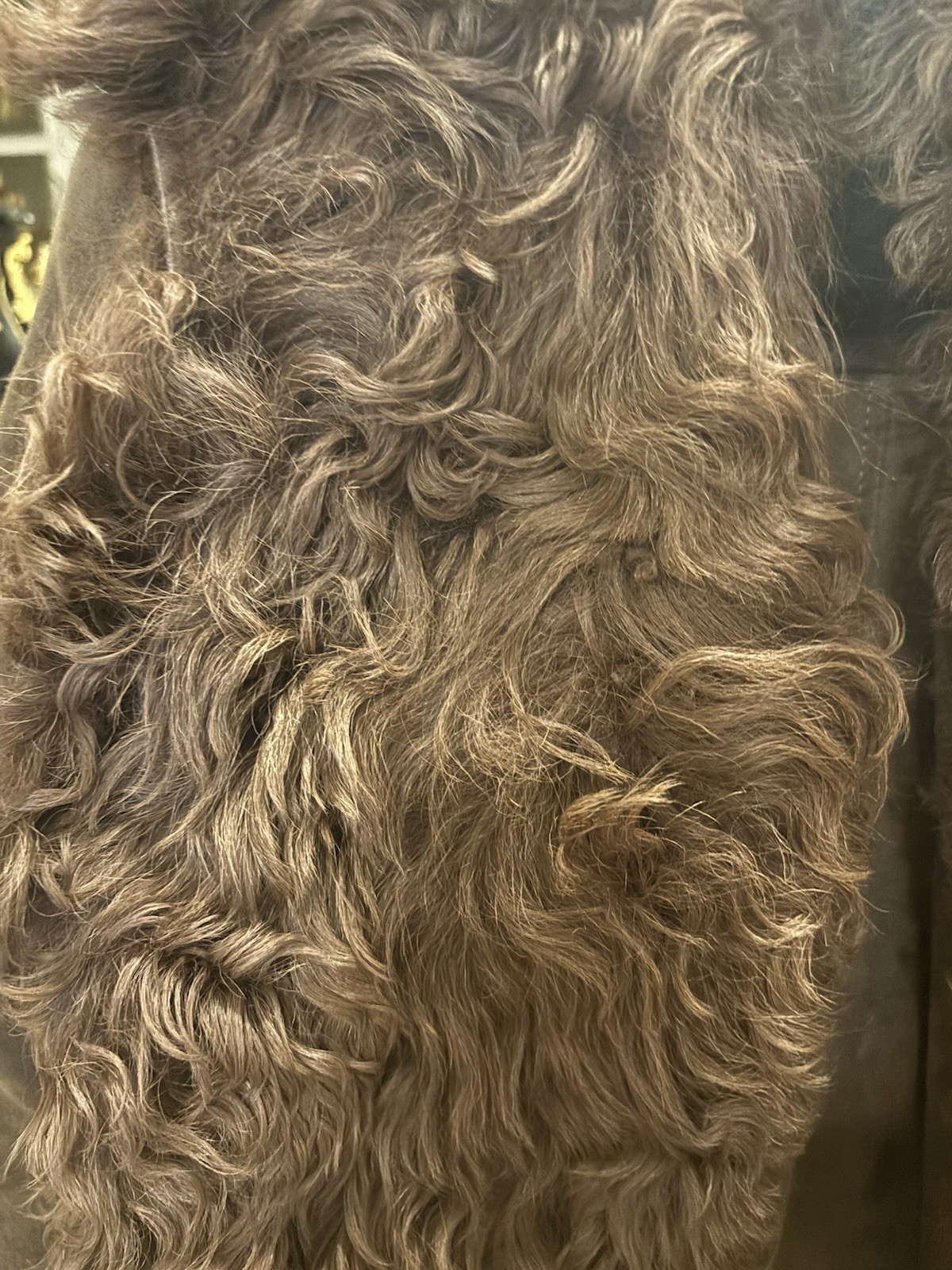 Brown Shearling Curly Fur Suede Vintage Women&rsquo;s Regular Size Coat-retail $785