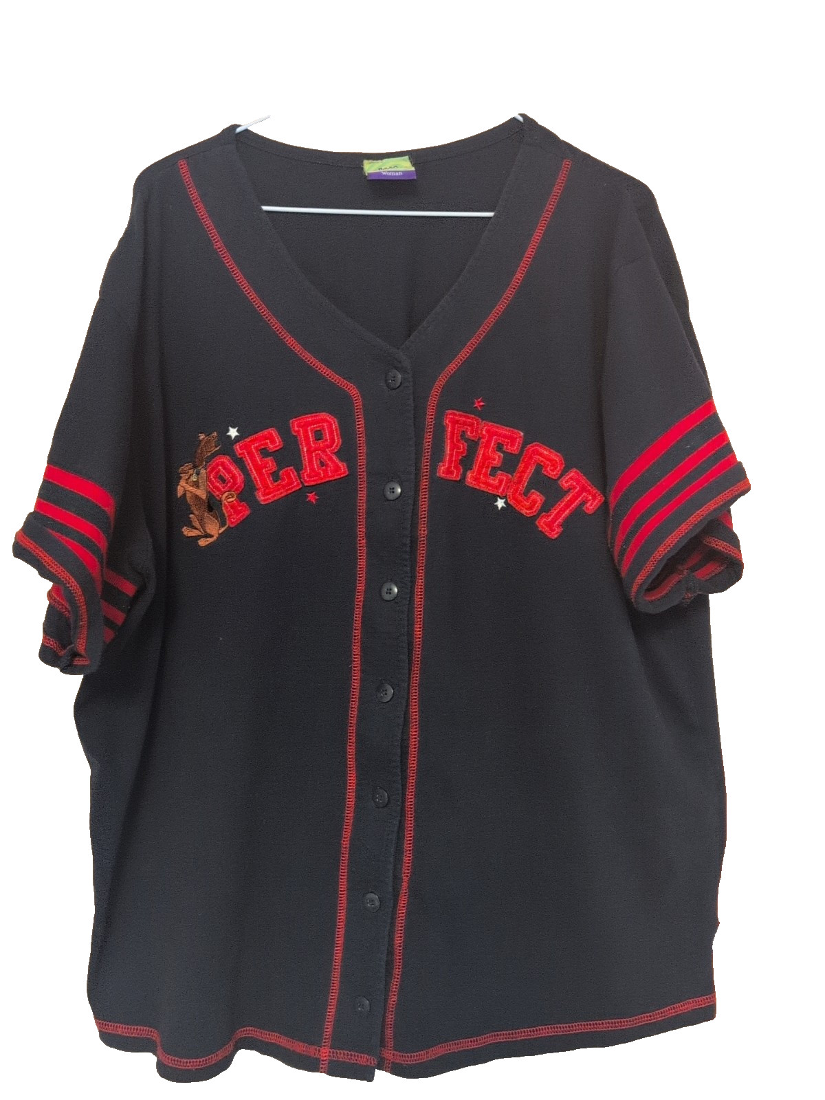 Scooby Doo Perfect Embroidered Vintage Cartoon Network Women’s Baseball Jersey