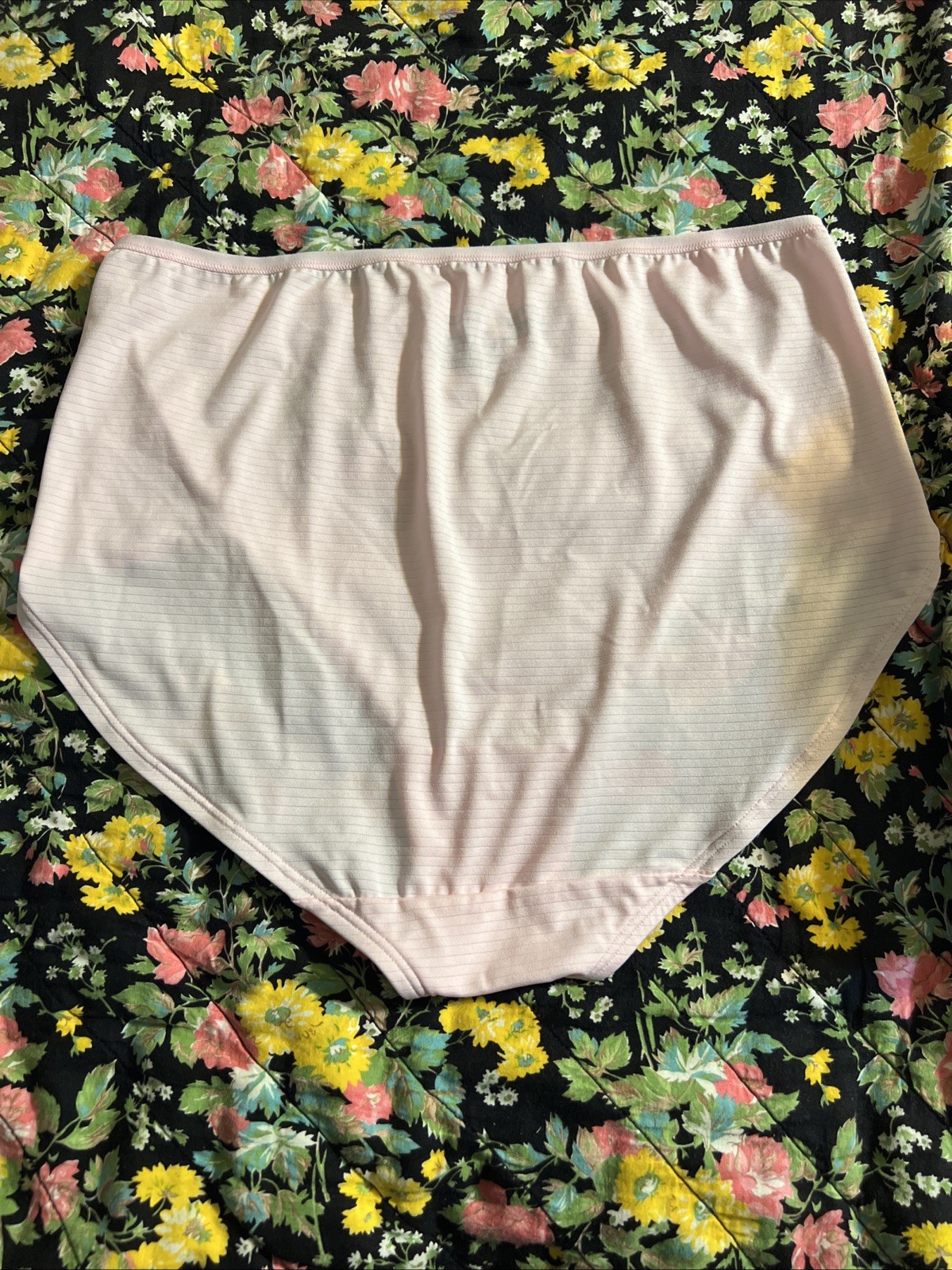 Fruit Of The Loom Nylon Panties Pink Silky Shiny Striped Granny Sz 8 NWOT