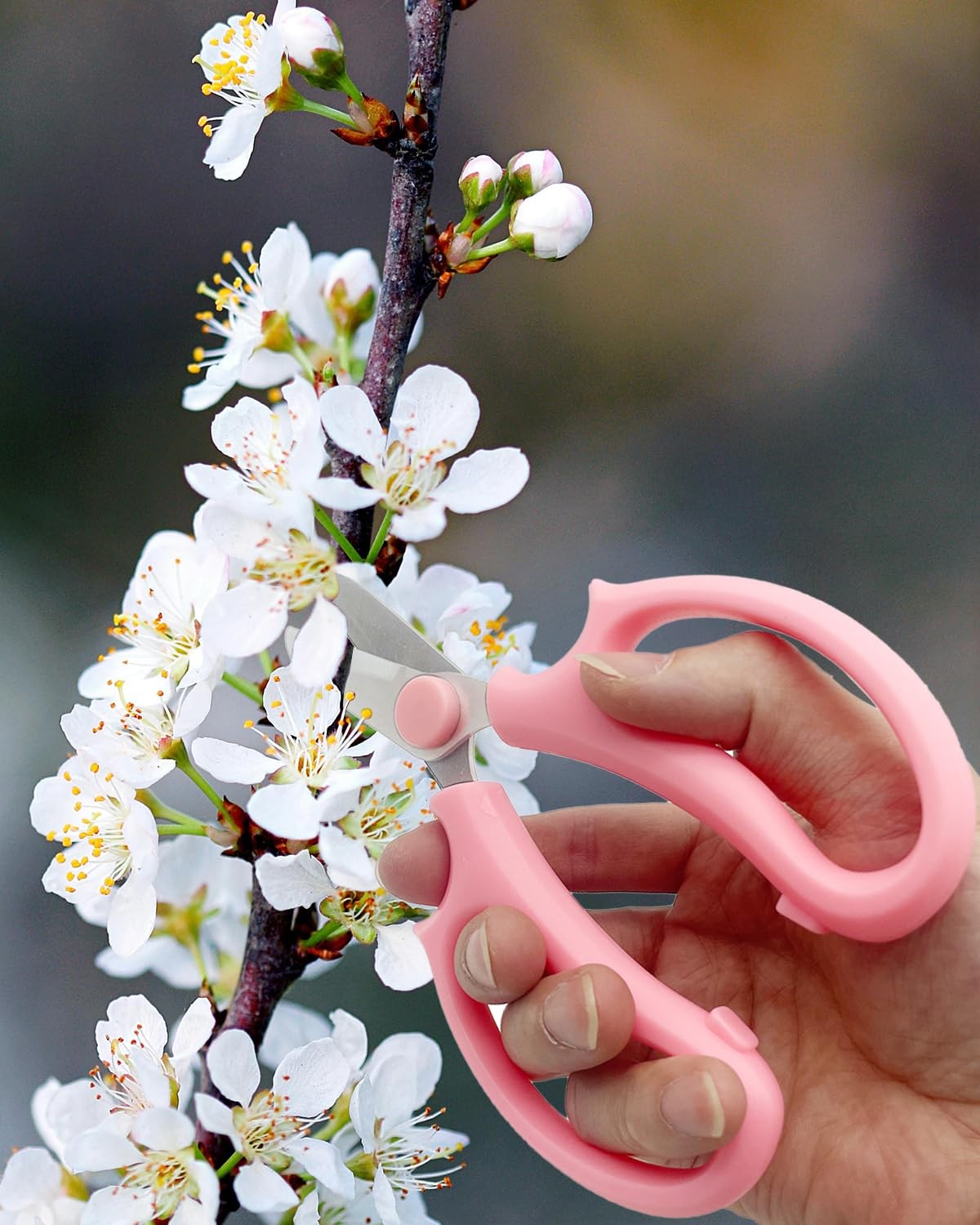 Pink Flower Scissors, Thickened Stainless Steel Floral Pruning Snips – Sharp Gar
