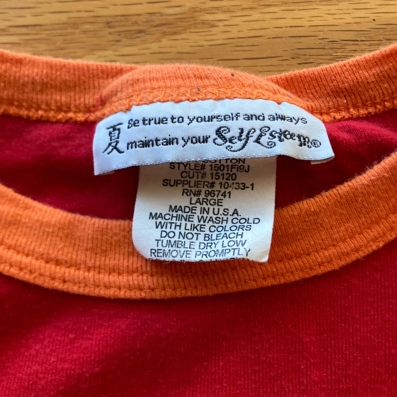VINTAGE 1990s/Y2K SELF ESTEEM KITTEN FLAMES BABY DOLL SHIRT vtg crop flaming cat